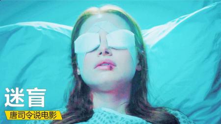 惊悚《迷盲》电影解说文案