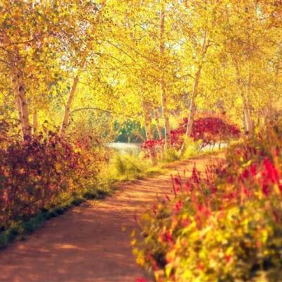 【伤感】下雨的天心情好糟糕的句子（下雨天心情沉闷句子）