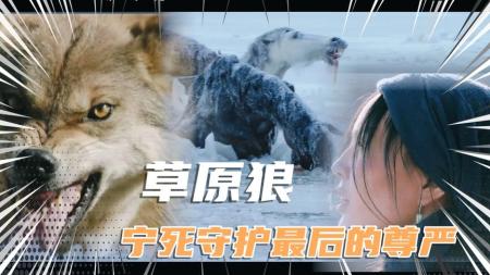 《狼图腾》解说文案有狼，没有图腾——《狼图腾》影视文案