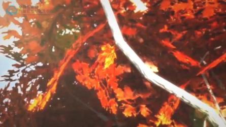 【课程】二十四节气系列创意动画