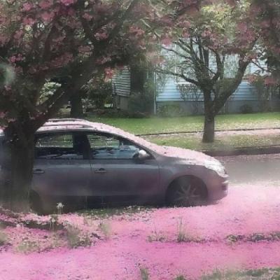 【励志】5点学习励志视频vlog（努力学习的视频vlog）