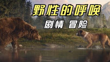 冒险影片《野性的呼唤》影评 解说素材 观后感