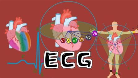 【课程】创意动画硬核训练营