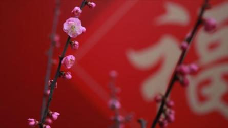 【课程】吴贵临象棋兵法346局视频版高清全集