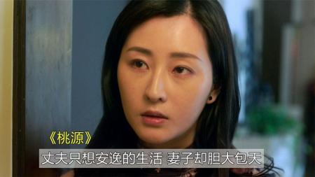 家庭《桃源》电影解说文案