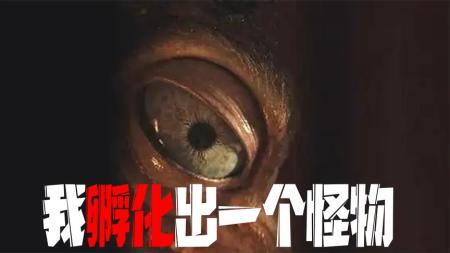 恐怖电影《孵化》解说文案片源素材