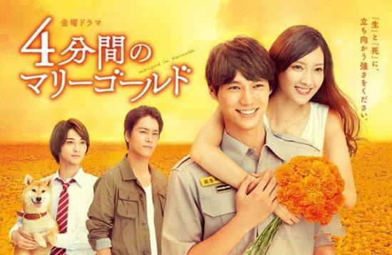 《四分钟的金盏菊》_第1集_分集剧情