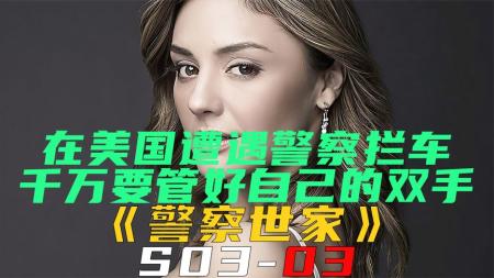《警察世家S03-03》在美国遭遇警察拦车，千万要管好自己的双手！《警察世家S03-03》