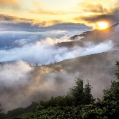 【正能量】怼人的霸气语录简短（怼人最温柔的霸气句子）