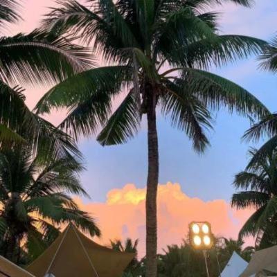 【励志】高二学习vlog超燃励志（学习vlog高中生）