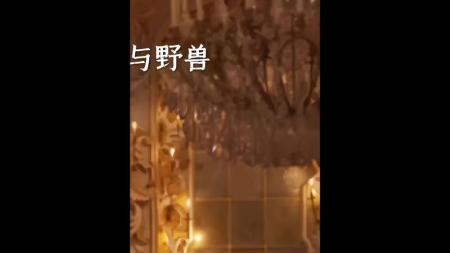 《美女与野兽》解说文案《美女与野兽》：油画框里的唯美童话