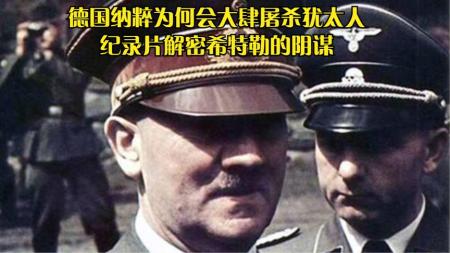《阴谋》：德国屠杀犹太人前做了什么？希特勒太狠，他的手下更狠，纪录片.mp3