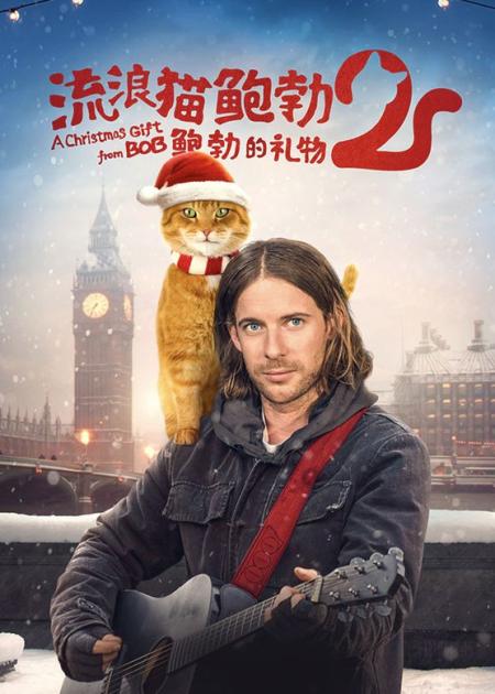 如果你在低谷，不妨看看这部电影，治愈了无数人的《流浪猫鲍勃》