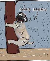 2.3亿年前，一场200万年的大雨，让恐龙直接称霸地球！