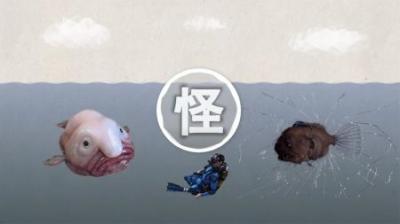 令人毛骨悚然的神奇生物，人类究竟发现了多少？