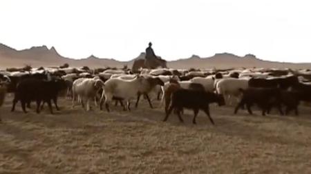 《蒙古草原，天气晴》纪录片：草原的天之娇女，6岁就牧羊700头，命运却将其定格12岁！