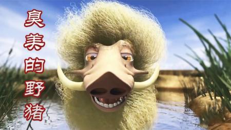 《臭美的野猪》爆笑短片《臭美的野猪》