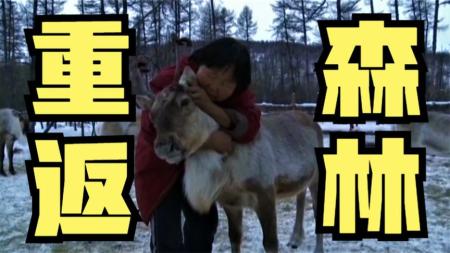 《雨果的假期》：又一部高分纪录片，当少年重返森林！069113325zh