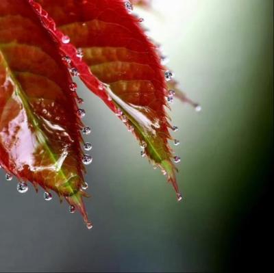 【唯美】描述独角兽的句子（赞美独角兽的句子）