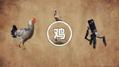 鸡头防抖到底是真是假！为何云台技术都要借鉴于鸡？