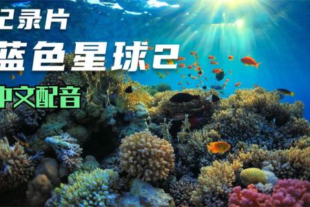 《蓝色星球II》解说文案【第557弹】《蓝色星球2》：颠覆想象的海洋深处，藏着大美与危机