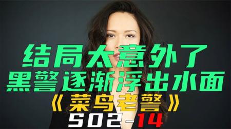《菜鸟老警S02-14》黑警逐渐浮出水面，结局太意外了《菜鸟老警S02-14》