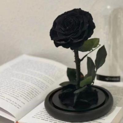 【唯美】动画人物的美好句子（动画电影中的优美句子）