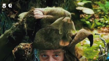 《霍比特人：意外之旅》解说文案《霍比特人1：意外之旅》RealD 6FL观影记录