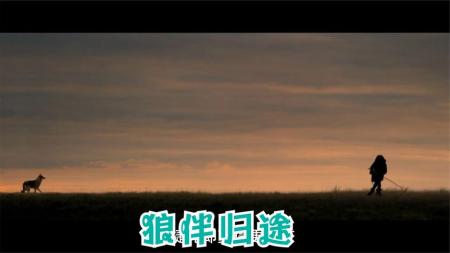 《狼伴归途》：怂包男孩驯服一头野狼，从此人生走上巅峰《狼伴归途》