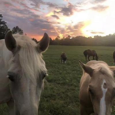 【励志】vlog发型文案（vlog日常爆火文案）