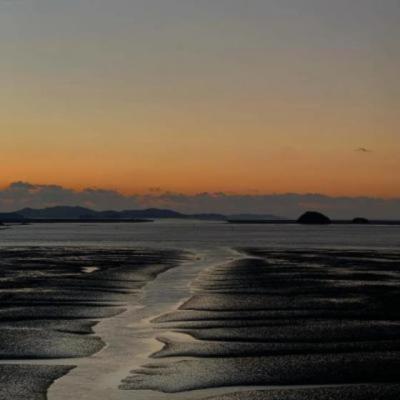 【爱情】因为共同爱好而相识的爱人文案