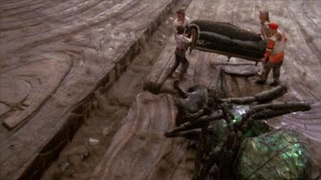 家庭影片《亲爱的 你把孩子缩小了》电影解说文案