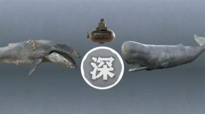 人类所能探索到的“马里亚纳海沟”最深处，究竟发现了什么？