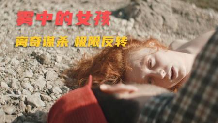 《迷雾追凶》，又名《雾中的女孩》悬疑电影，《超过瘾悬疑片》一起车祸牵出三起离奇谋杀，结尾两次极限反转