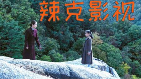 悬疑电影《侵入者.下》解说素材文案