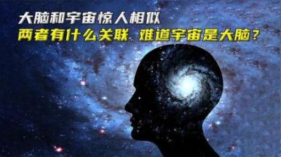 大脑和宇宙惊人相似，两者有什么关联，难道宇宙是个大脑？