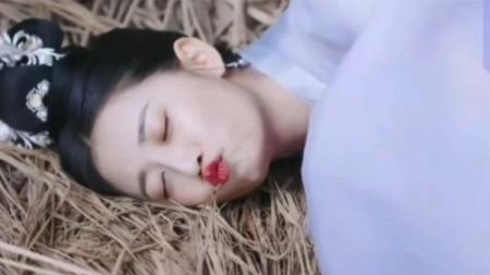 《美人鱼》解说文案同为跨种族纠葛，为什么我爱《美人鱼》远超《疯狂动物城》