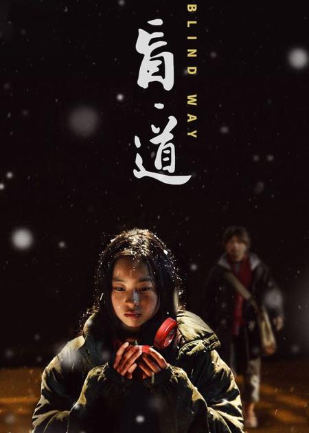 《盲道》解说文案《盲道》：独立电影无需生理反应，只需心理反应