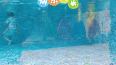 【课程】冯德全早教教案