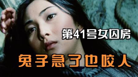 惊悚《第41号女囚房》电影解说文案