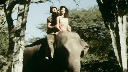 冒险《热带丛林历险记》电影解说文案（热带丛林历险记电影片尾曲）(冒险小球穿越热带丛林)