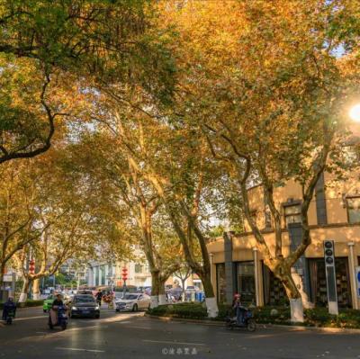 【经典】大蒜做花文案（辣椒蒜花束文案）