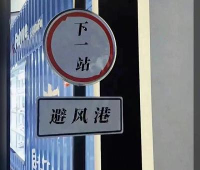 【感悟】vlog创作感悟（vlog如何提高自己创作水平）