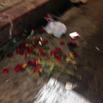 【唯美】唯美句子认真做好每一件事