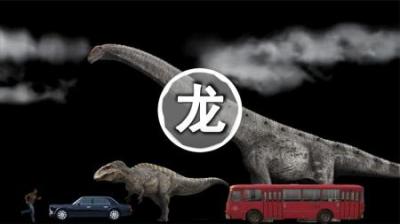 30米的恐龙到底有多大？用公交车做对比一目了然！