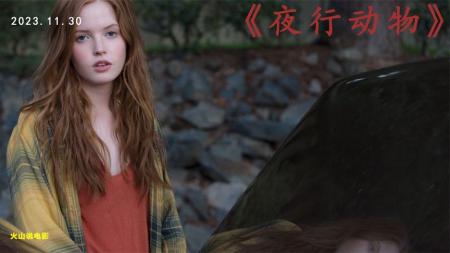 惊悚《夜行动物》电影解说文案(电影《夜行动物》影片)