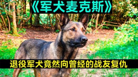 剧情电影《军犬麦克斯》解说文案 解说稿