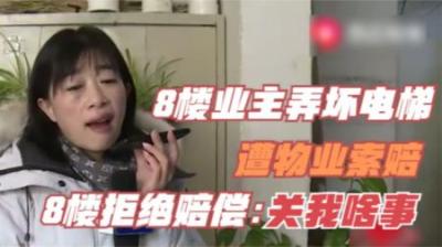 8楼业主弄坏电梯，遭物业索赔，8楼拒绝赔偿：关我啥事