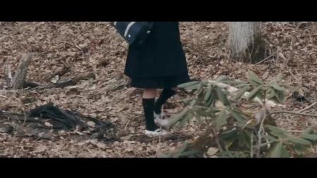 剧情电影《三角草的春天》解说文案 解说素材