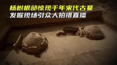 杨树根部惊现千年宋代古墓，发掘现场引众人拍摄直播#考古发掘